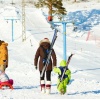 Porte-Skis Enfant WANTALIS Skiback