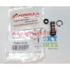FORMULA Kit Piston R1